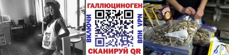Купить закладки  Тихвин  Галлюциногенные грибы прущие грибы 